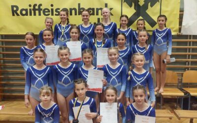 SV Gymnastics Turn10 erturnt Medaillen
