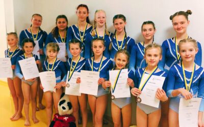 SV Gymnastics Turn10 bei Landesmeisterschaft vorne